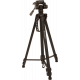 Tripod Light Duty 160cm - Tilting head - 1/4