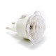 Ночник VARGO LED Роза., блистер, RGB 115733